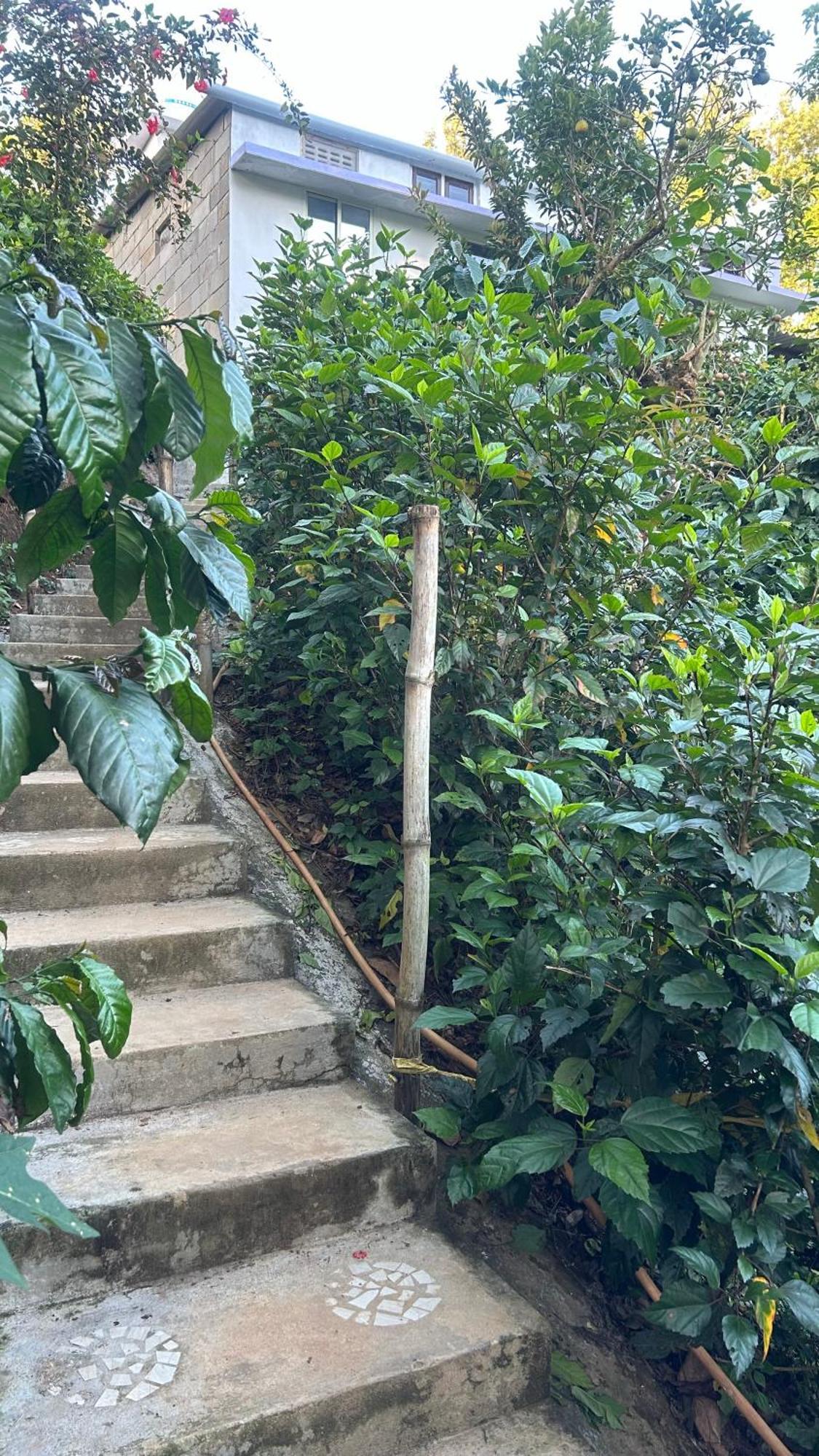 Doddakallu Betta Homestay Coorg Somvārpet Zewnętrze zdjęcie
