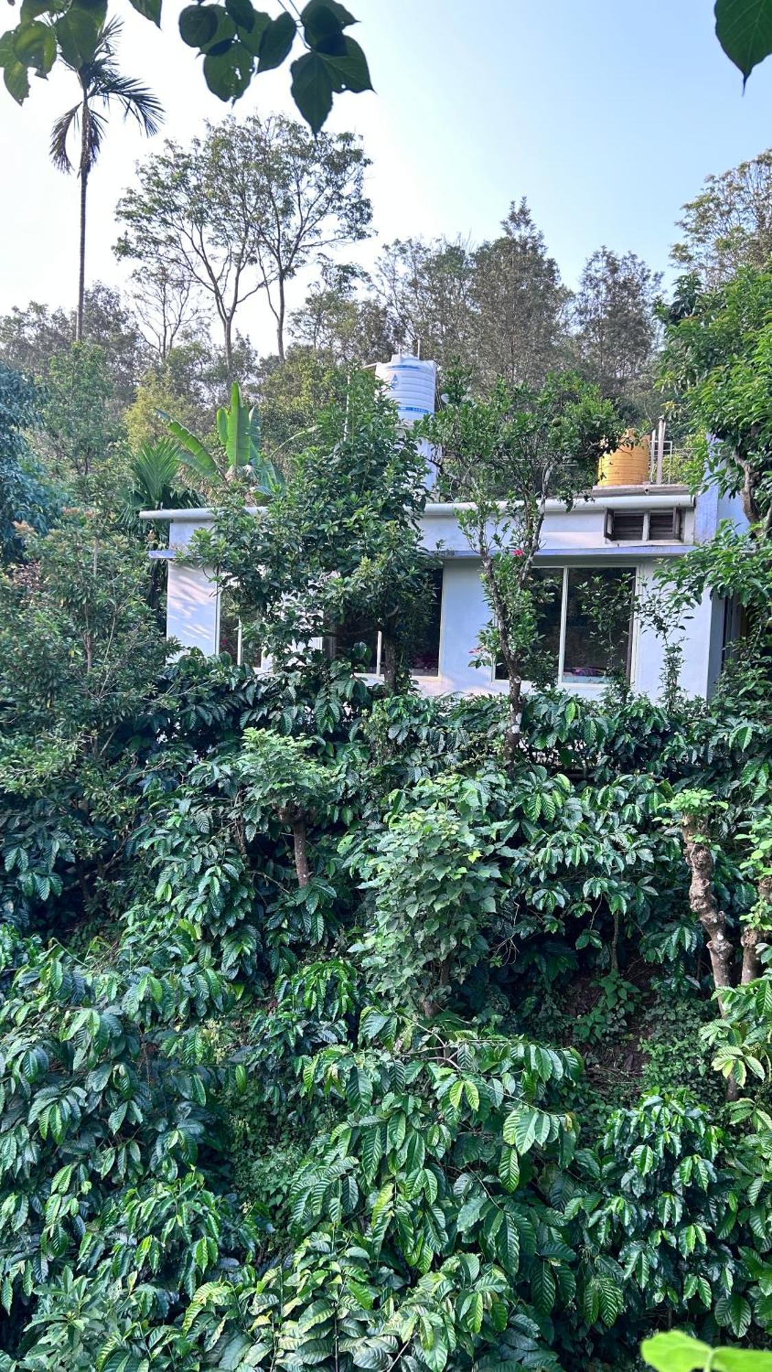 Doddakallu Betta Homestay Coorg Somvārpet Zewnętrze zdjęcie